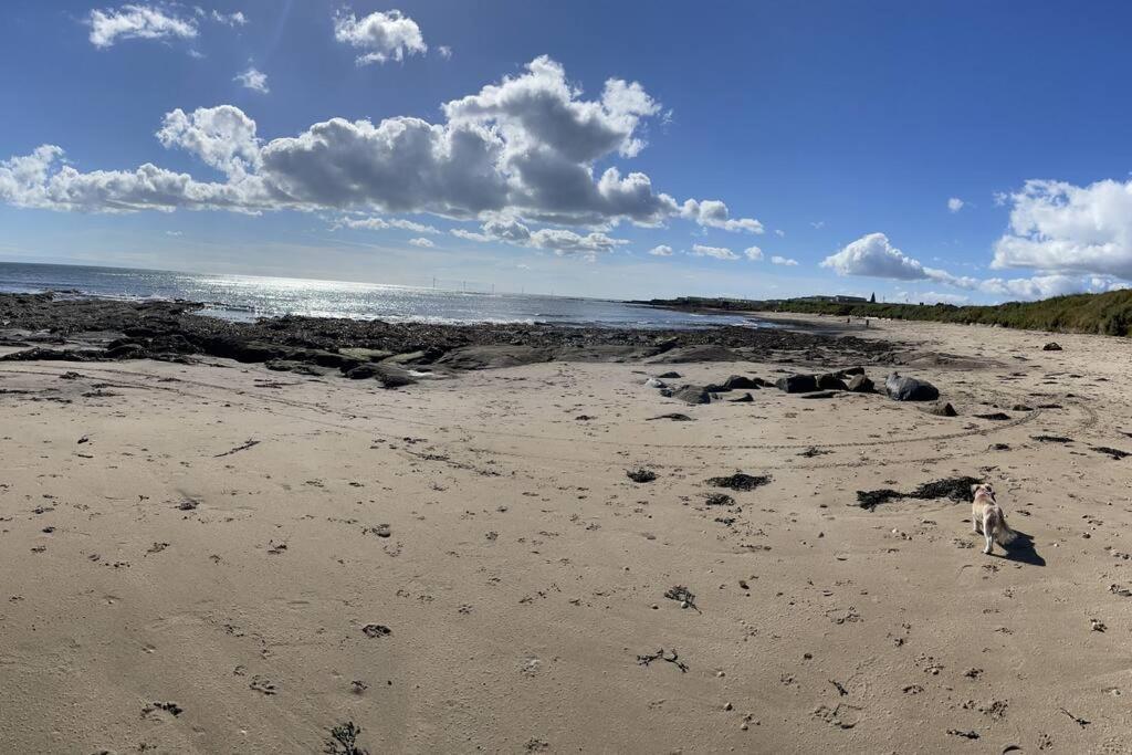 Вилла The Fairways Hideaway - Northumberland Ньюбиггин-бай-те-Си Экстерьер фото